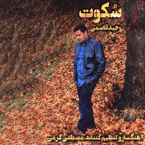 دانلود آهنگ وحید قاسمی سکوت